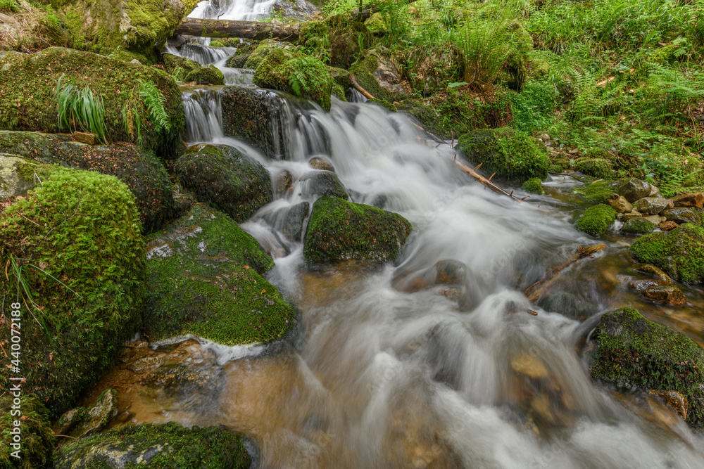 Mountain torrent in the Vosges.