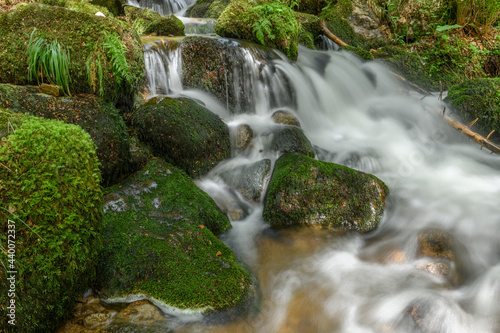 Mountain torrent in the Vosges.