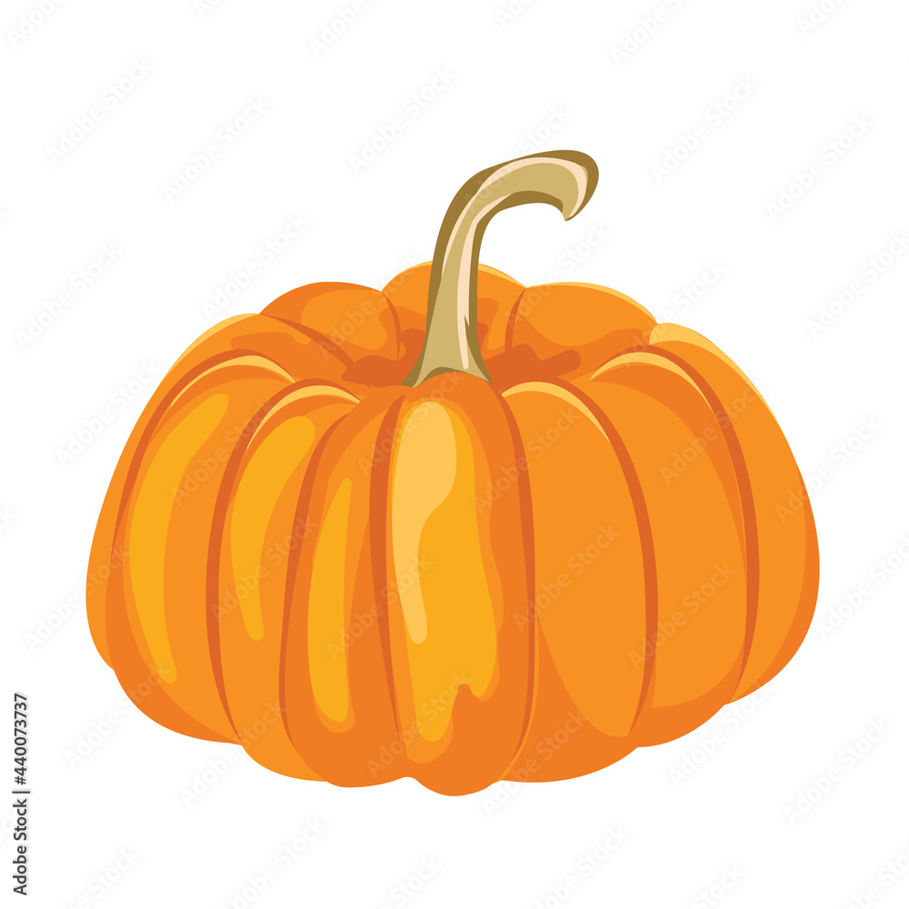 Cartoon vector illustration isolated object fresh food vegetable pumpkin Cartoon vector illustration isolated object fresh food vegetable pumpkin