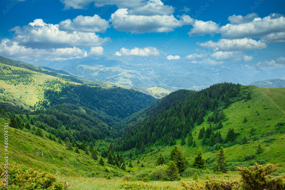 Amazing nature view of National park Kopaonik - the most famous ski center of Serbia - on a sunny summer morning Amazing nature view of National park Kopaonik - the most famous ski center of Serbia - on a sunny summer morning
