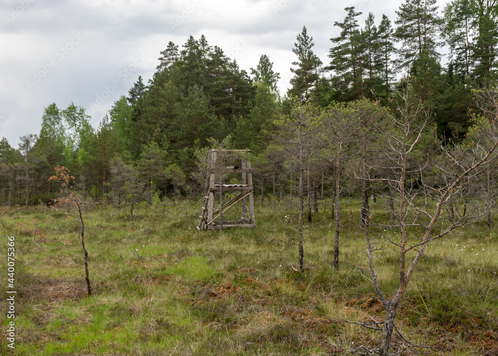simple wooden hunting tower in the bog, hunting concept, traditional bog plants, bog background, swamp texture simple wooden hunting tower in the bog, hunting concept, traditional bog plants, bog background, swamp texture