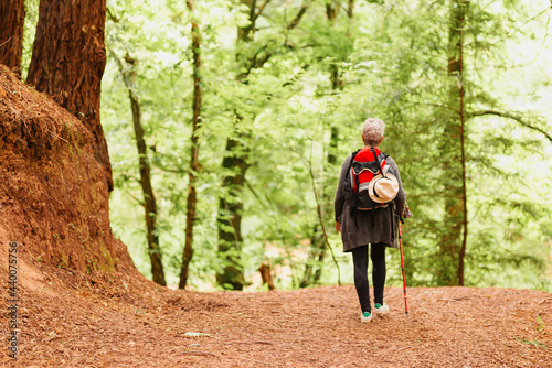 Senior woman trekking through a redwood forest. person with a backpack doing low intensity exercise. old age and healthy lifestyle