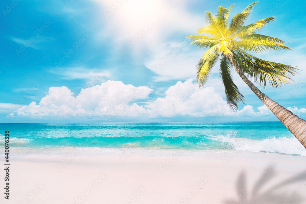 Palm tree on tropical beach with blue sky and white clouds abstract background. Copy space of summer vacation and business travel concept.