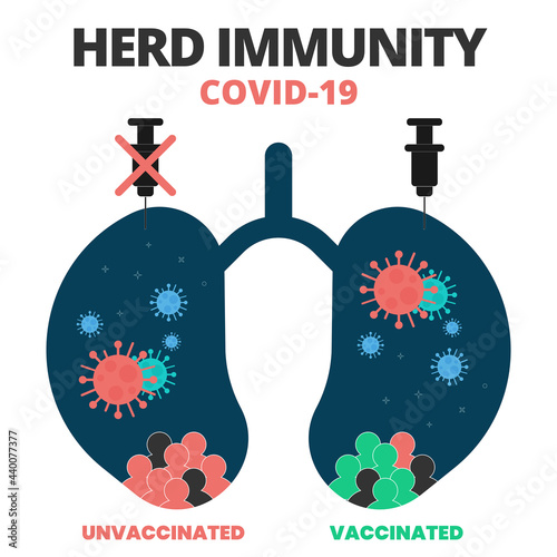 Abstract infographic. Syringe, group of vaccinated, unvaccinated people in lung and Herd immunity COVID-19 text. Herd immunity or people are infected with the infected person as virus spread contents.