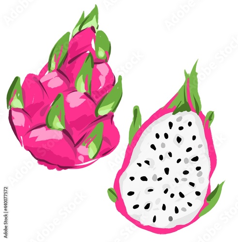 Hand drawn Pitaya Fruit Vector, Dragon Fruit set isolated on a white background