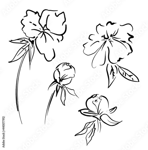 Hand Drawn Flowers vector illustration, Ink Bouquet of peonies