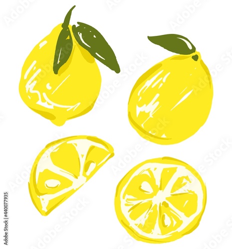 Sketch Yellow lemon isolated on white background vector illustration