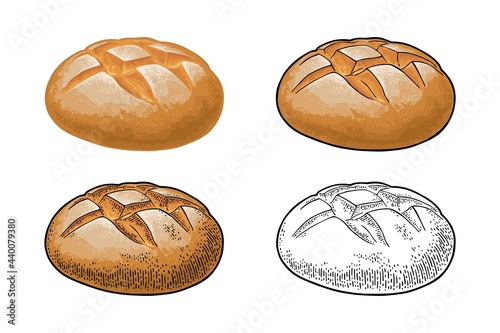 Rye bread. Vector color hand drawn realistic illustration