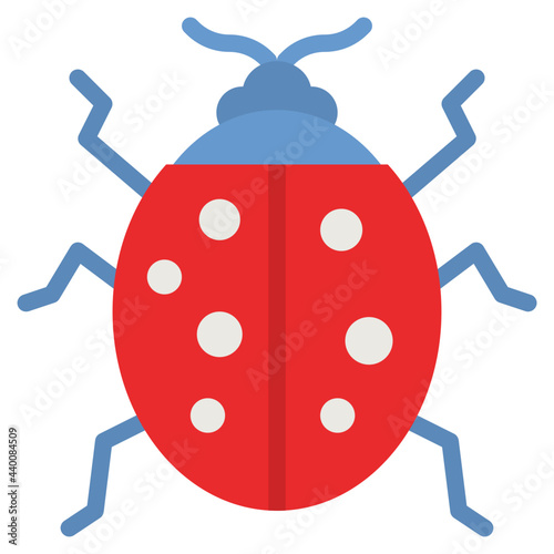 ladybug