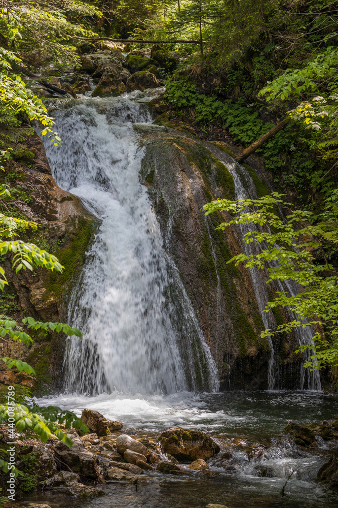 Fototapeta premium Wasserfall im Wald mit steinigem Flussbett