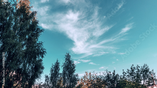 Summer day, sky clouds, warm sunny day, park for walks, wooded area