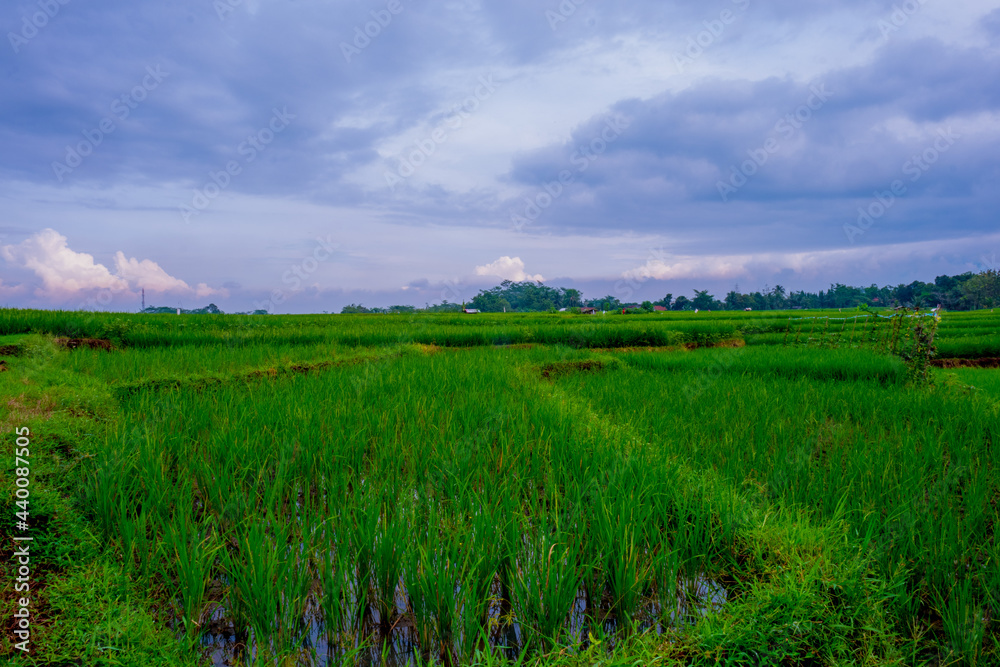 landscape with a church in the background landscape with a church in the background