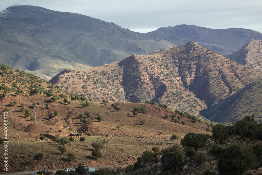 trees scattered on the hill sides in the High Atlas mountains