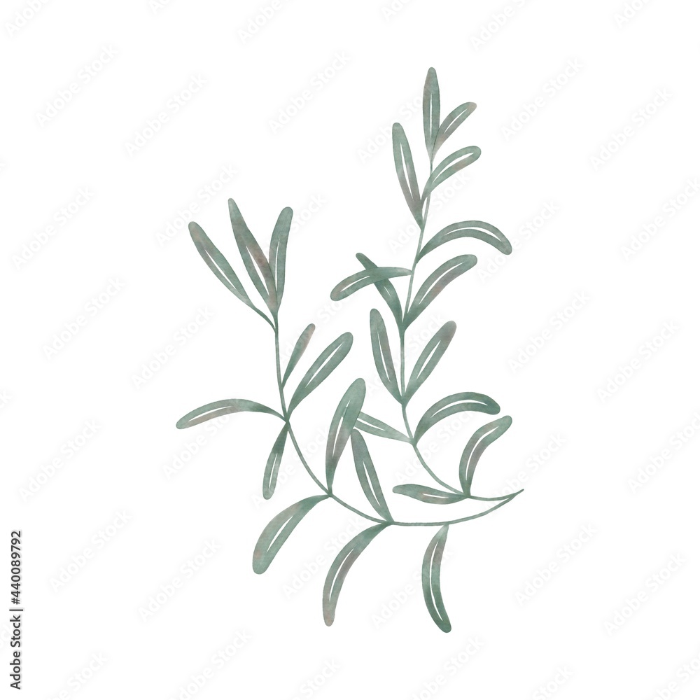 Isolated illustration of a stylised plant