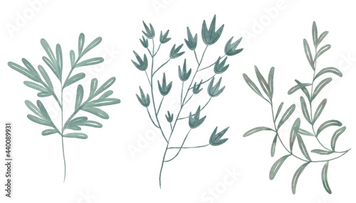 Set of isolated stylised plants