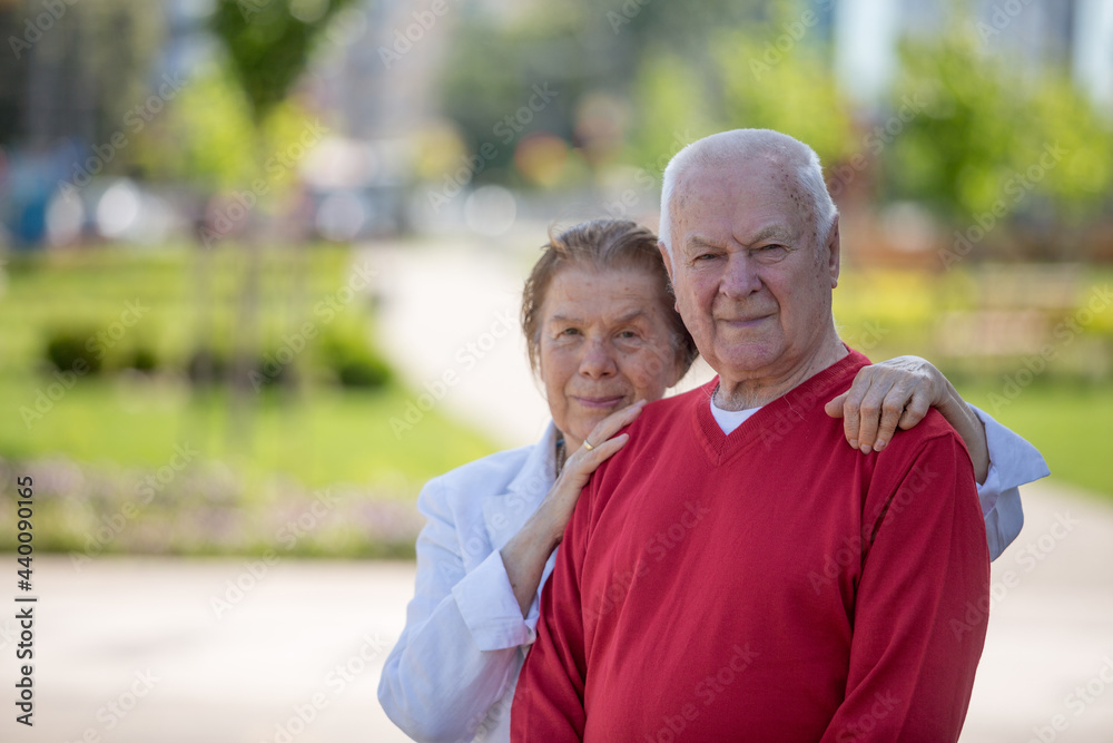 Senior adults walking in a park holding hands Senior adults walking in a park holding hands