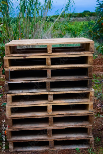 Weathered pine wood pallets stacked in the field