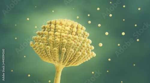 Fungal infection, Aspergillus is a mold fungi that can trigger allergies and cause lung infections, 3d illustration photo