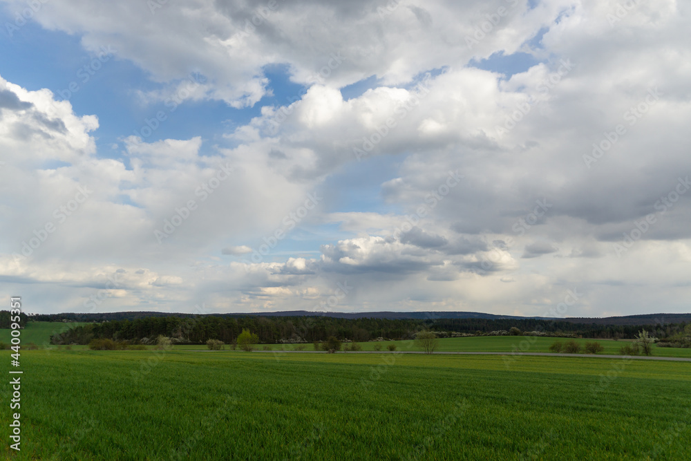 Landschaft im Sommer