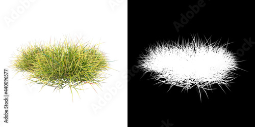 Front view of Plant  Grass Group 2  Tree png with alpha channel to cutout made with 3D render