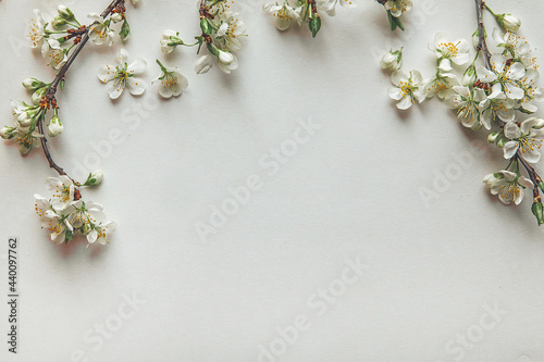 Cherry blossom on the background, styled stock, vintage, white background, close up © Olga