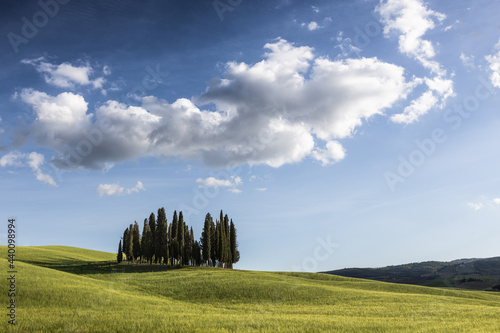 San Quirico d'Orcia cipressi- world heritage UNESCO photo