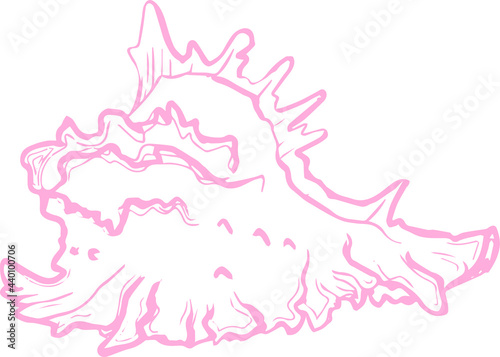 Vector line art sketch pink seashell marine picture in doodle style