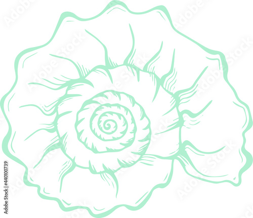 Vector summer picture of blue mollusk seashells clam shells