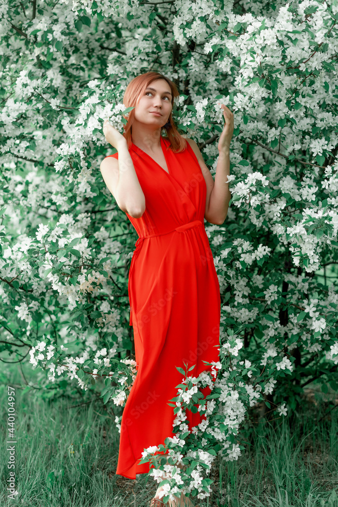 Obraz premium A young woman in a long red dress stands against the background of a blooming apple tree