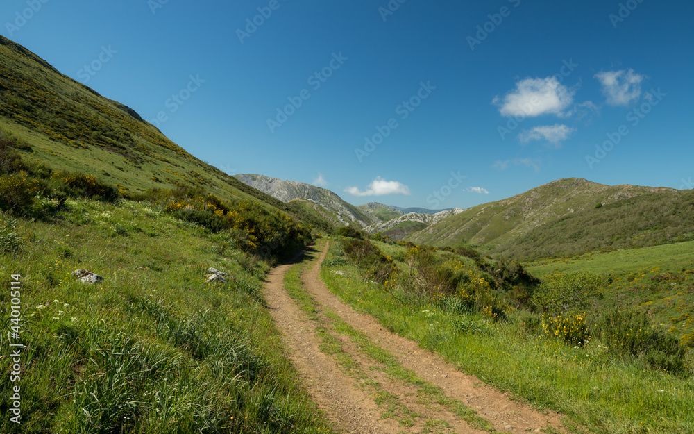 Fototapeta premium Mountain trail and green landscape of Somiedo Natural Park in spring.