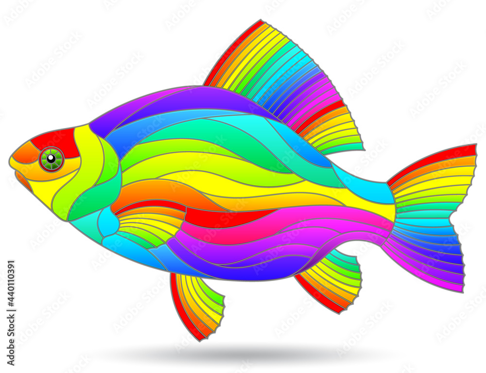Rainbow fish images deals