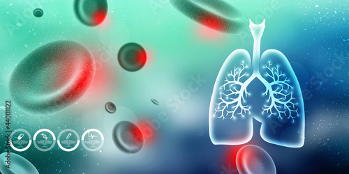 Healthy Human Lungs 2d illustration 