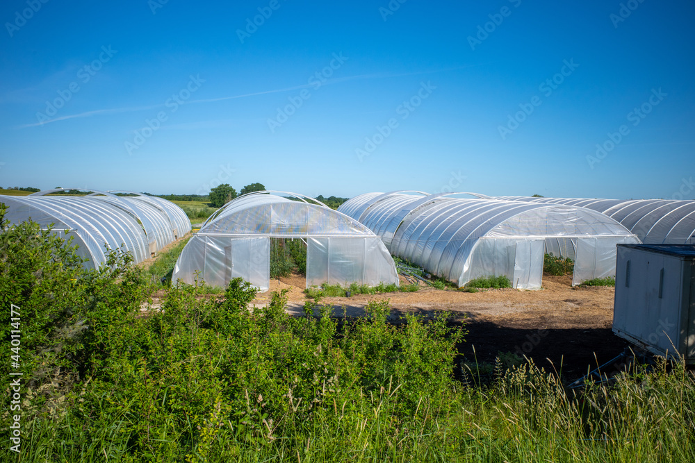 some round greenhouses stand next to each other on a field