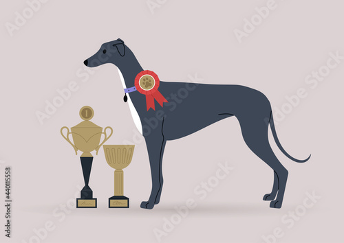 A winner of a dog competition posing with golden goblets and medals, a victory concept
