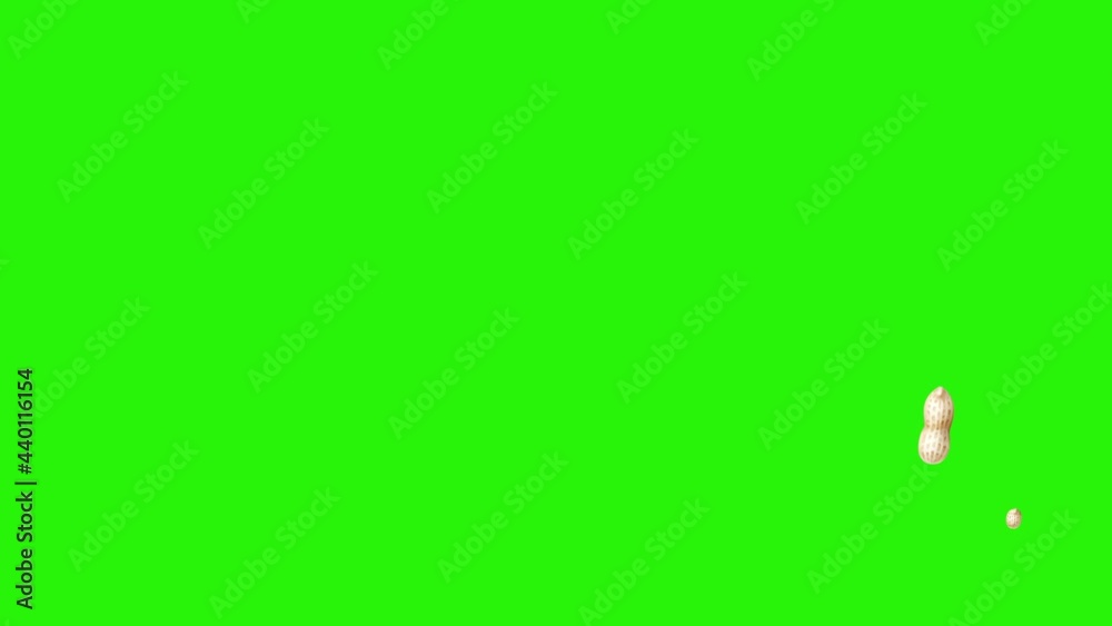 Peanuts animation group on green screen chroma key, graphic source elements Peanuts animation group on green screen chroma key, graphic source elements
