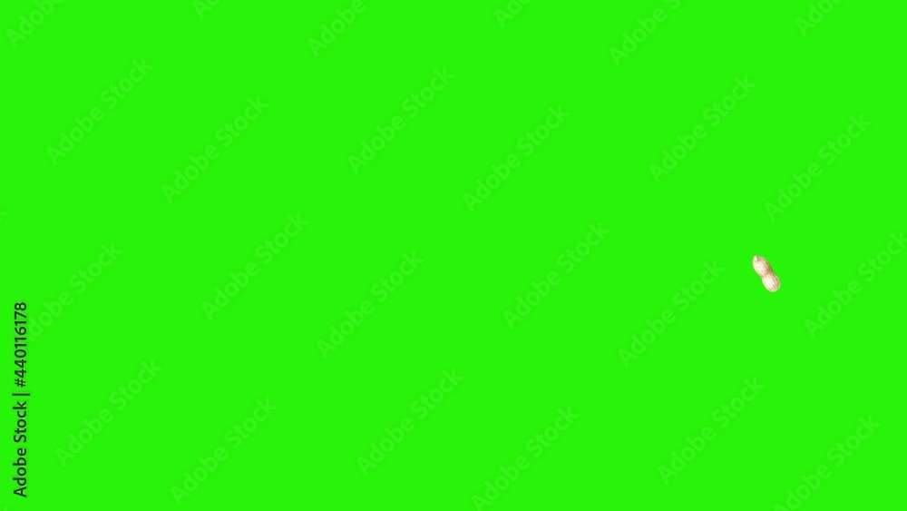 Peanuts animation group on green screen chroma key, graphic source elements Peanuts animation group on green screen chroma key, graphic source elements