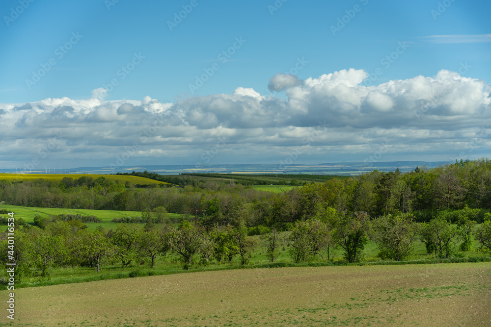Obraz premium Landschaft im Sommer