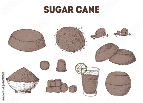 Brown Sugar Organic Unrefined. Sugar cane sketch collection. Hand drawn vector illustration. Vintage design template. Panela, Gur or jggery powder. Vintage Design for packaging. photo