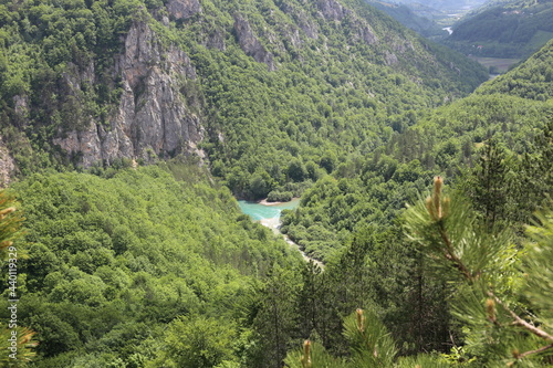 canyon of the Tara river Montenegro