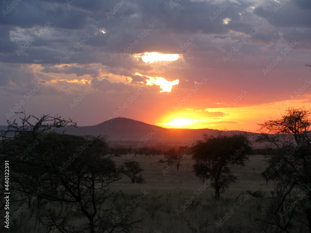 sunset in Serengeti National Park Tanzania
