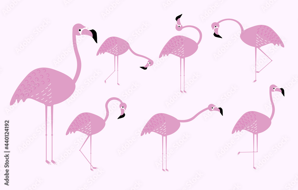 Fototapeta premium Flamingo collection. Flat design.