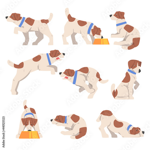 Cute Jack Russell Terrier Activity Set, Friendly Pet Animal in Various Poses Cartoon Vector Illustration