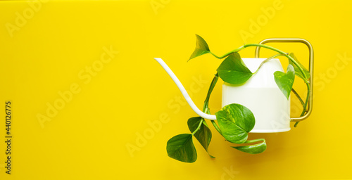 nice watering can entwined with green plant, Creative layout, minimal concept, space for a note, yellow background