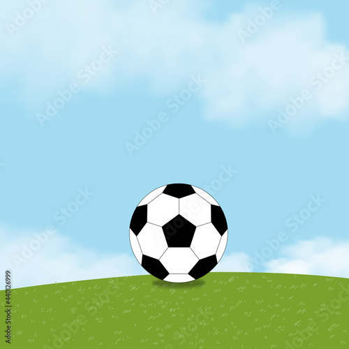 Football black and white on green fields with fluffy cloud and blue sky  One Soccer ball on grass lawn.