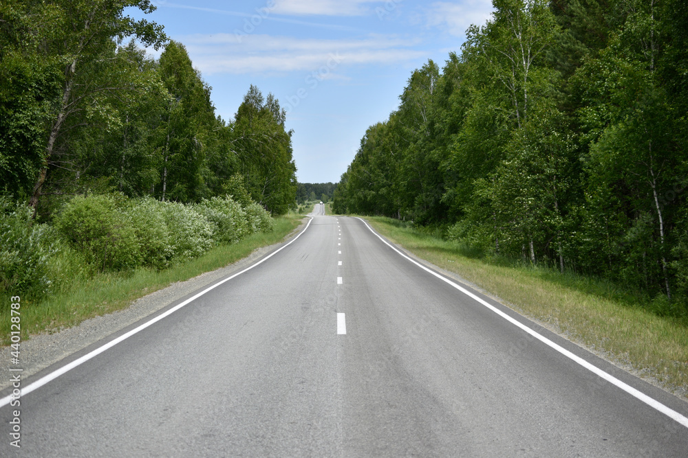 High-speed asphalt highway in the forest during the day High-speed asphalt highway in the forest during the day