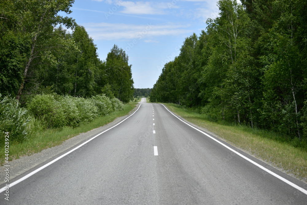 High-speed asphalt highway in the forest during the day High-speed asphalt highway in the forest during the day