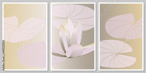 luxurious gentle pink  with gold  water lilie and leaves on a pink background- wall art vector set, for wall art, poster, wallpaper, print

