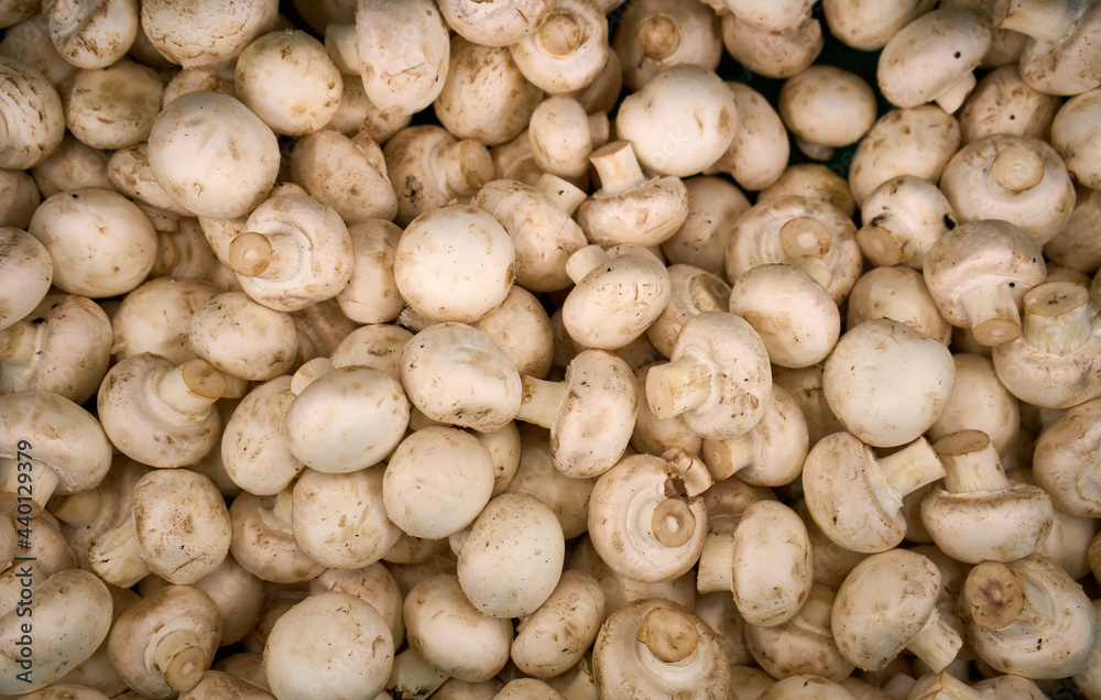 Fresh champignon mushrooms as background, top view. Shrooms champignon background texture. Fresh champignon mushrooms as background, top view. Shrooms champignon background texture.