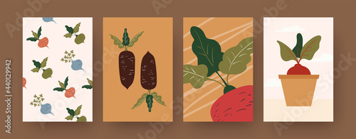 Set of contemporary art posters with root vegetables. Radish, potted beetroot cartoon vector illustrations. Gardening, organic food concept for designs, social media, postcards, invitation cards
