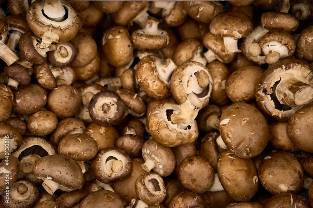 Fresh champignon mushrooms as background, top view. Shrooms champignon background texture. Fresh champignon mushrooms as background, top view. Shrooms champignon background texture.